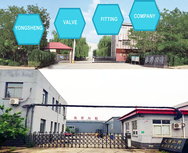 Tianjin Yongsheng Facility